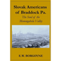 Slovak Americans of Braddock Pa.: The Soul of the Monongahela Valley - Paperback