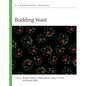 Budding Yeast: A Laboratory Manual - Paperback