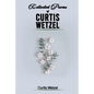 Collected Poems of Curtis Wetzel - Paperback