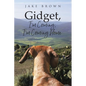 Gidget, I'm Coming, I'm Coming Home - Paperback