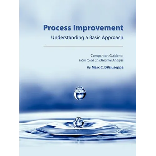 Process Improvement: Understanding a Basic Approach - Companion Guidebook to How to Be an Effective Analyst - Paperback