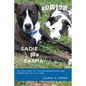 Saving Sadie and Sasha: The true story of two abandoned dogs who showed me the way home. - Paperback