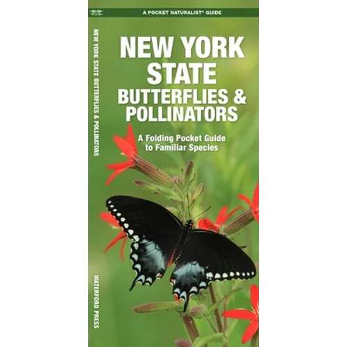 New York State Butterflies & Pollinators: A Folding Pocket Guide to Familiar Species