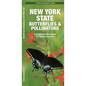 New York State Butterflies & Pollinators: A Folding Pocket Guide to Familiar Species