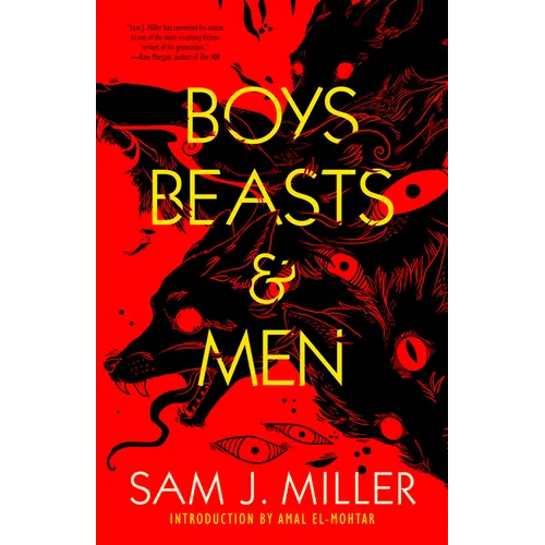 Boys, Beasts & Men - Paperback