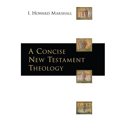 A Concise New Testament Theology - Paperback