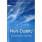 Non-Duality - Paperback