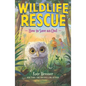 How to Save an Owl - Paperback