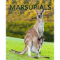 Marsupials: Amazing Pictures & Fun Facts of Animals in Nature - Paperback