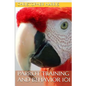 Parrot Training and Behavior 101 - Paperback