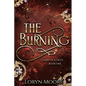 Diary of a Deity - The Burning - Paperback