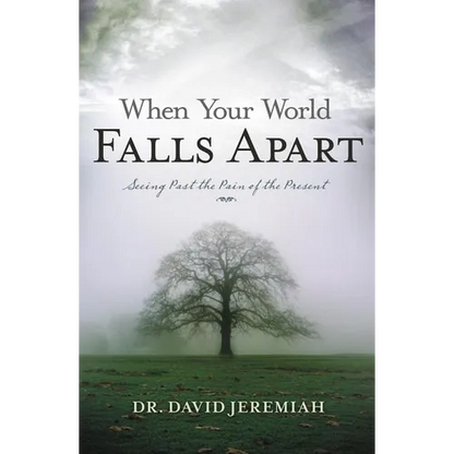 When Your World Falls Apart: See Past the Pain of the Present - Paperback