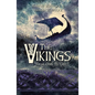 The Vikings: From Odin to Christ - Paperback