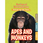 Apes & Monkeys - Paperback