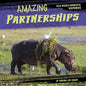 Amazing Partnerships - Paperback