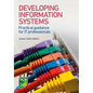 Developing Information Systems: Practical Guidance for It Professionals - Paperback