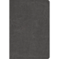 Student Study Bible-ESV - Imitation Leather