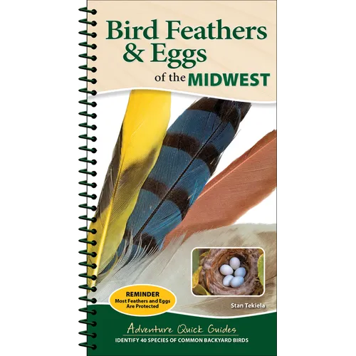 Bird Feathers & Eggs of the Midwest: Identify 40 Species of Common Backyard Birds - Spiral