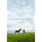 Sanctuary: The True Story of an Irish Village, a Man Who Lost His Way, and the Rescue Donkeys That Led Him Home - Paperback