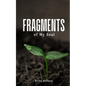 Fragments of My Soul - Paperback