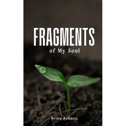Fragments of My Soul - Paperback