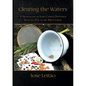 Clearing the Waters: A Monograph on Saint Cyprian Divination from the 17th to the 19th Century - Paperback