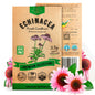 White Yarrow Seeds Pack 0.25 G - Over 2000 Non-GMO Heirloom Yarrow Seeds for Planting Herbs in Individual Seed Packet, Herbs Seeds for Planting Home Garden Indoor & Outdoor Gardening