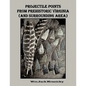Projectile Points from Prehistoric Virginia (and Surrounding Area) - Paperback