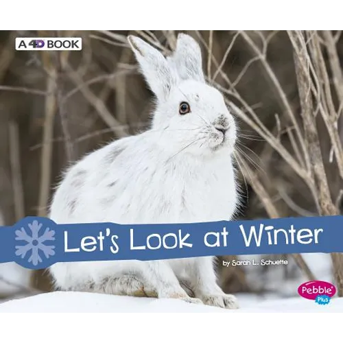 Let's Look at Winter: A 4D Book - Hardcover