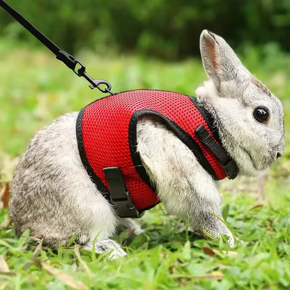 Breathable Mesh Vest Harness with Adjustable Soft Straps & Elastic Leash for Rabbits, Cats & Small Pets
