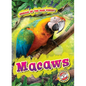 Macaws - Library Binding