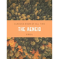 The Aeneid - Paperback