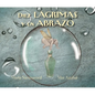 Diez Lagrimas Y Un Abrazo (Ten Tears and One Embrace) - Hardcover