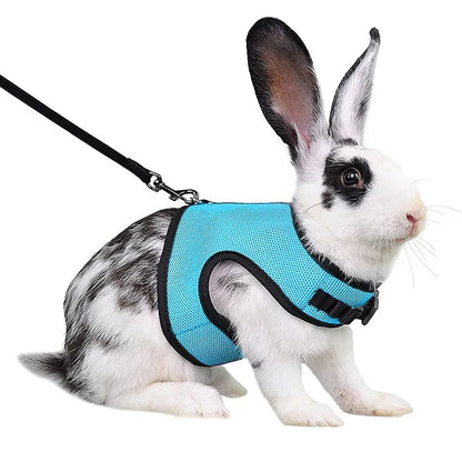 Breathable Mesh Vest Harness with Adjustable Soft Straps & Elastic Leash for Rabbits, Cats & Small Pets