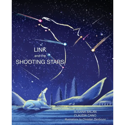 Link and the Shooting Stars - Paperback