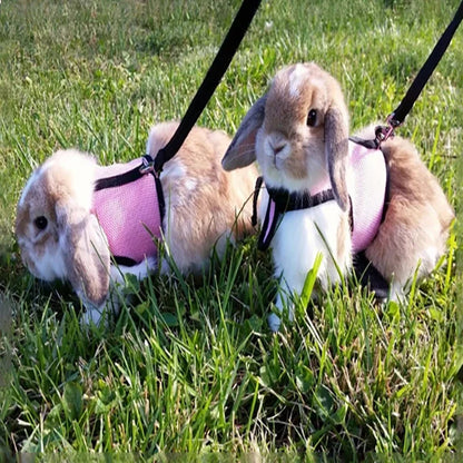 Breathable Mesh Vest Harness with Adjustable Soft Straps & Elastic Leash for Rabbits, Cats & Small Pets
