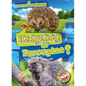 Hedgehog or Porcupine? - Paperback