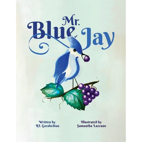 Mr. Blue Jay - Paperback