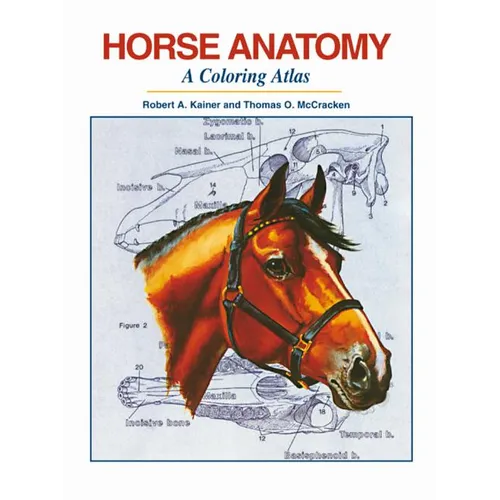Horse Anatomy: A Coloring Atlas - Spiral