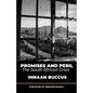 Promises and Peril: The South African Crisis - Paperback