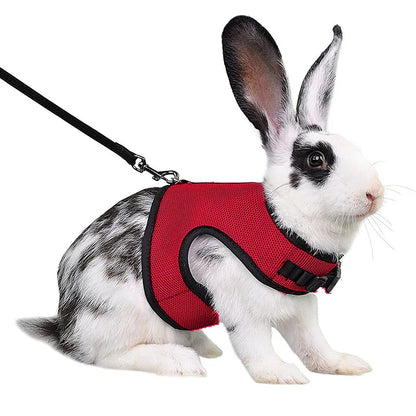 Breathable Mesh Vest Harness with Adjustable Soft Straps & Elastic Leash for Rabbits, Cats & Small Pets