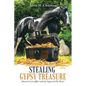 Stealing Gypsy Treasure: "America'S Love Affair with the Gypsy and His Horse" - Paperback