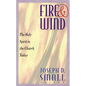 Fire and Wind: The Holy Spirit in the Church Today - Paperback
