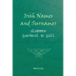 Irish Names and Surnames - Sloinnte Gaeḋeal is Gall - Paperback
