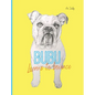 Bubu Learns to Bounce - Hardcover