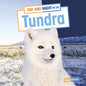 Day and Night on the Tundra - Hardcover