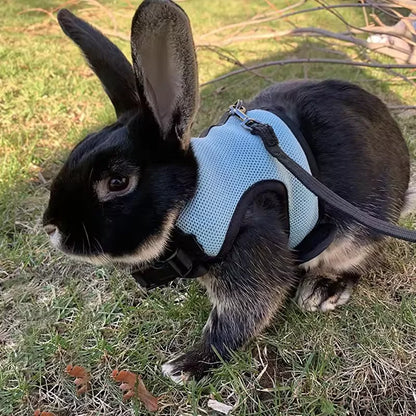 Breathable Mesh Vest Harness with Adjustable Soft Straps & Elastic Leash for Rabbits, Cats & Small Pets