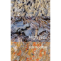 High Tide - Paperback