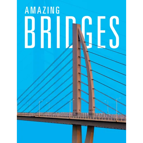Amazing Bridges - Hardcover