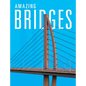 Amazing Bridges - Hardcover